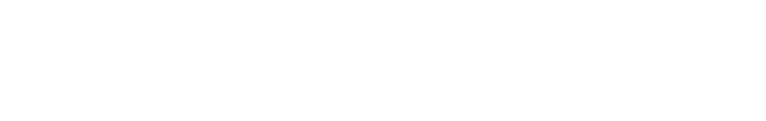 THIS iSP Co-branding Logo-White